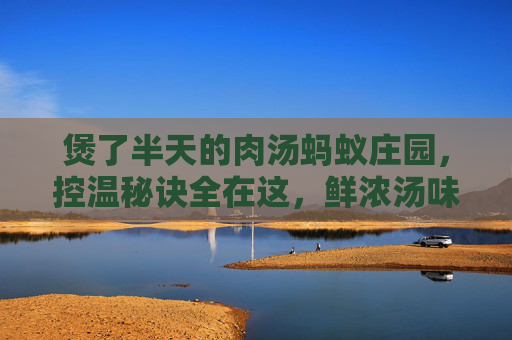 煲了半天的肉汤蚂蚁庄园，控温秘诀全在这，鲜浓汤味直接拉满,蚂蚁庄园做的美食不见了