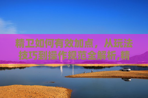 精卫如何有效加点，从玩法技巧到操作规范全解析,精卫怎么加点和打技能书