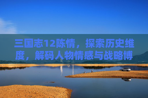 三国志12陈情，探索历史维度，解码人物情感与战略博弈的新篇章,三国志12陈情修改