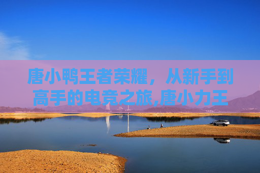唐小鸭王者荣耀，从新手到高手的电竞之旅,唐小力王者荣耀