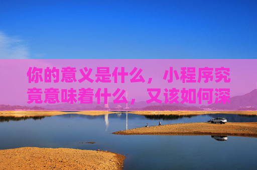 你的意义是什么，小程序究竟意味着什么，又该如何深刻洞察,你的意义是什么测试网站