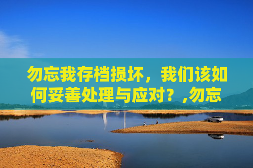 勿忘我存档损坏，我们该如何妥善处理与应对？,勿忘我 存档