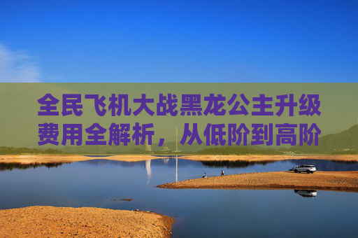 全民飞机大战黑龙公主升级费用全解析，从低阶到高阶到底要投入多少？,全民飞机大战进阶黑龙公主