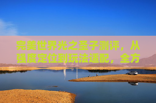 完美世界光之圣子测评，从强度定位到玩法适配，全方位解析光之圣子核心优势与局限,完美世界手游光之圣子和玄武