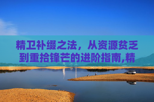 精卫补缀之法，从资源贫乏到重拾锋芒的进阶指南,精卫怎么加点和打技能书