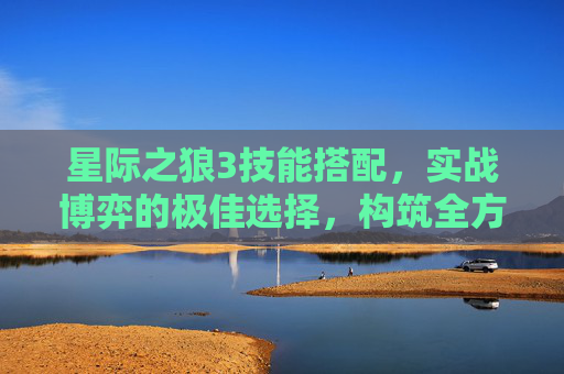 星际之狼3技能搭配，实战博弈的极佳选择，构筑全方位作战优势,星际之狼3技能搭配攻略