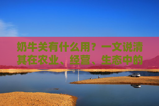 奶牛关有什么用？一文说清其在农业、经营、生态中的多重价值与应用场景,奶牛关有什么好处