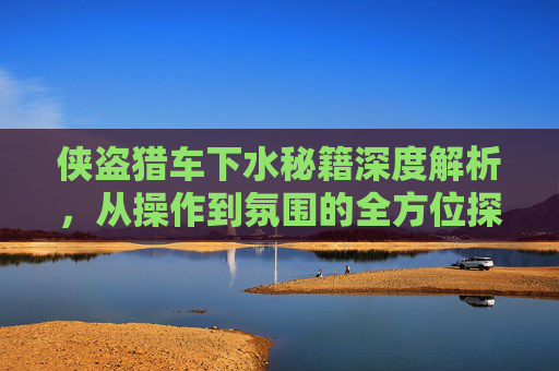 侠盗猎车下水秘籍深度解析，从操作到氛围的全方位探索,侠盗猎车的秘籍大全