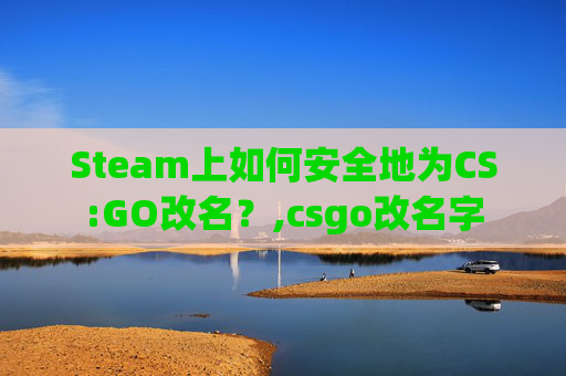 Steam上如何安全地为CS:GO改名？,csgo改名字