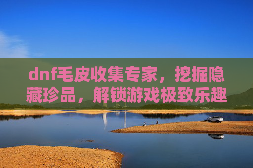 dnf毛皮收集专家，挖掘隐藏珍品，解锁游戏极致乐趣,dnf毛皮搜集专家