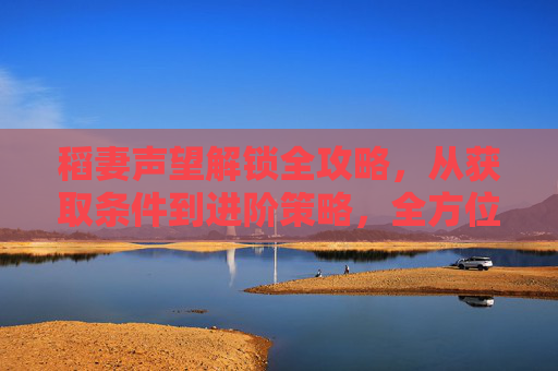 稻妻声望解锁全攻略，从获取条件到进阶策略，全方位突破角色魅力,原神稻妻声望怎么解锁