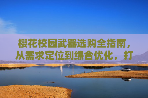 樱花校园武器选购全指南，从需求定位到综合优化，打造适配校园场景的武器体系,樱花校园怎么买武器装备