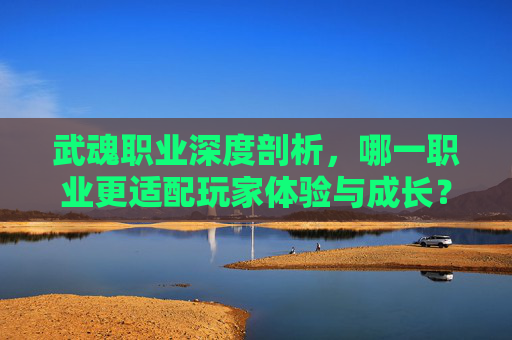 武魂职业深度剖析，哪一职业更适配玩家体验与成长？,武魂哪个职业好玩一点