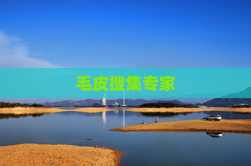 毛皮搜集专家