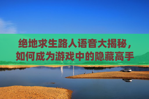 绝地求生路人语音大揭秘，如何成为游戏中的隐藏高手？,pubg队友语音