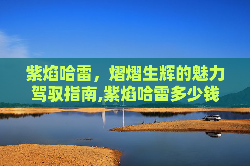 紫焰哈雷，熠熠生辉的魅力驾驭指南,紫焰哈雷多少钱