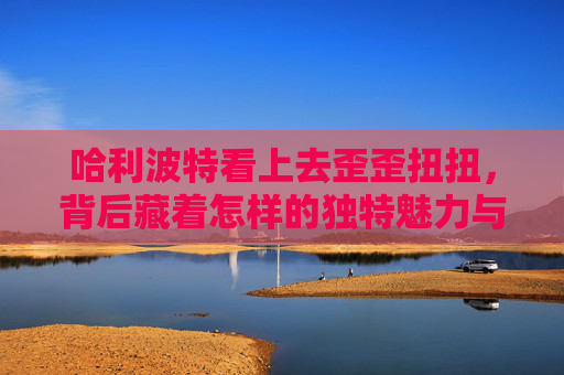 哈利波特看上去歪歪扭扭，背后藏着怎样的独特魅力与成长密码,哈利波特小说他看起来最英俊神情也最放松