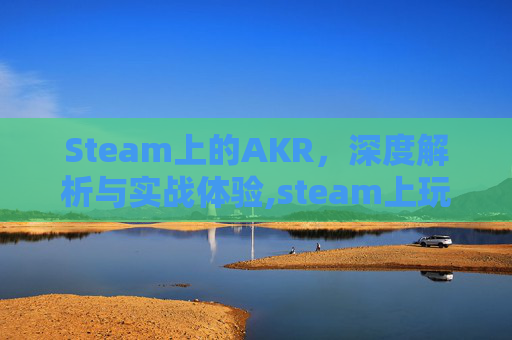 Steam上的AKR，深度解析与实战体验,steam上玩德州的叫什么
