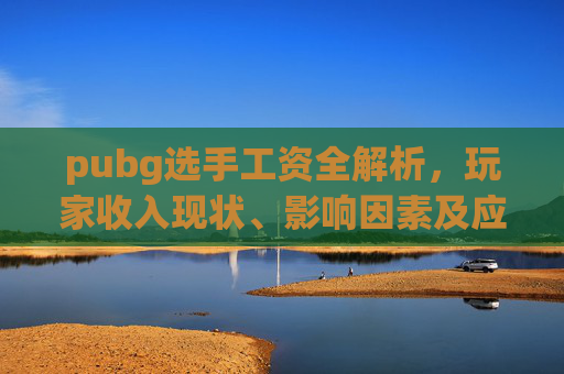 pubg选手工资全解析，玩家收入现状、影响因素及应对策略,pubg选手招募