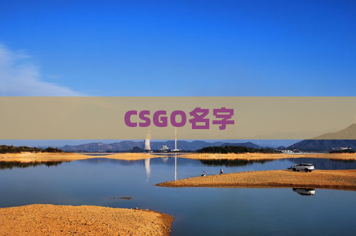 CSGO名字