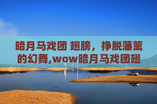 暗月马戏团 翅膀，挣脱藩篱的幻舞,wow暗月马戏团翅膀