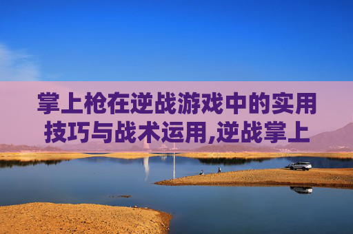 掌上枪在逆战游戏中的实用技巧与战术运用,逆战掌上枪有啥用啊知乎