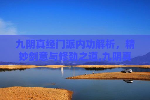 九阴真经门派内功解析，精妙剑意与修劲之道,九阴真经门派内功排名