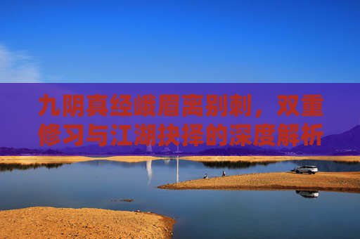 九阴真经峨眉离别刺，双重修习与江湖抉择的深度解析,九阴真经峨眉离别刺连招