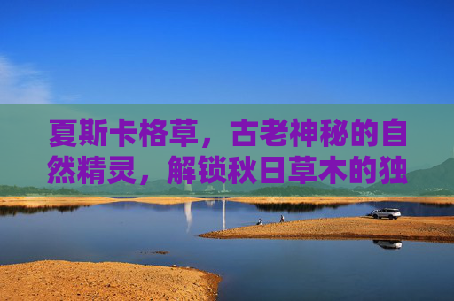 夏斯卡格草，古老神秘的自然精灵，解锁秋日草木的独特意境与生态价值,夏斯卡格草采集路线