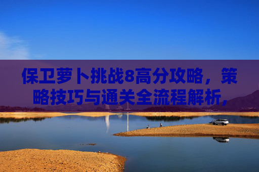 保卫萝卜挑战8高分攻略，策略技巧与通关全流程解析,保卫萝卜挑战8攻略视频