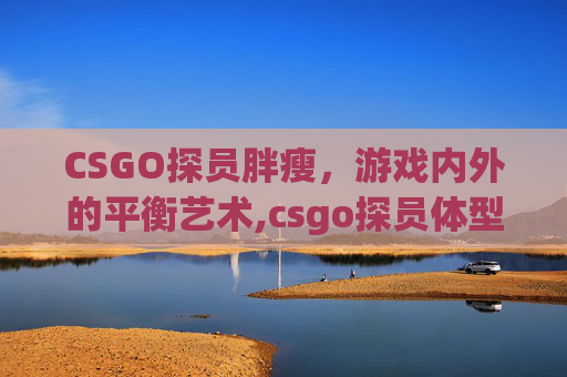 CSGO探员胖瘦，游戏内外的平衡艺术,csgo探员体型