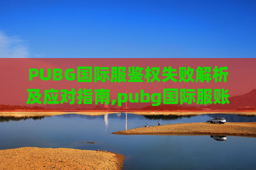 PUBG国际服鉴权失败解析及应对指南,pubg国际服账号申诉