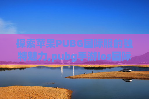 探索苹果PUBG国际服的独特魅力,pubg手游ios国际服说不了话