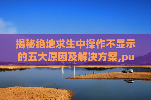 揭秘绝地求生中操作不显示的五大原因及解决方案,pubg主界面不显示人物