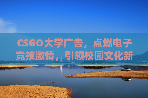 CSGO大学广告，点燃电子竞技激情，引领校园文化新风尚,csgo宣传