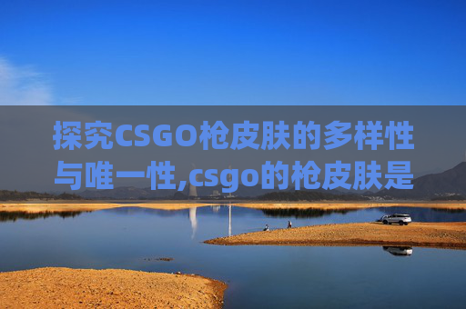 探究CSGO枪皮肤的多样性与唯一性,csgo的枪皮肤是永久的吗