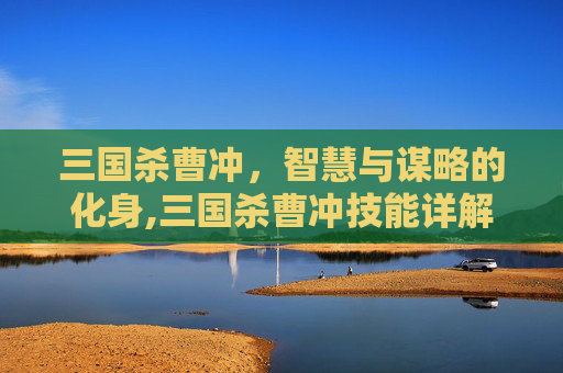 三国杀曹冲，智慧与谋略的化身,三国杀曹冲技能详解