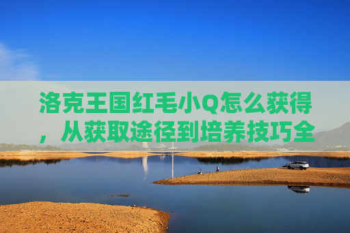 洛克王国红毛小Q怎么获得，从获取途径到培养技巧全解析,洛克王国红绒十字怎么进化