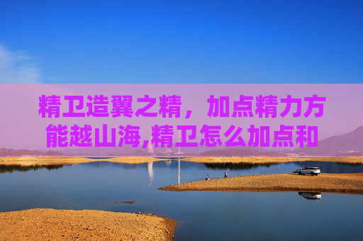精卫造翼之精，加点精力方能越山海,精卫怎么加点和打技能书