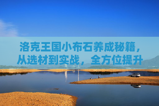 洛克王国小布石养成秘籍，从选材到实战，全方位提升你的小布石战斗力,洛克王国小布石性格推荐