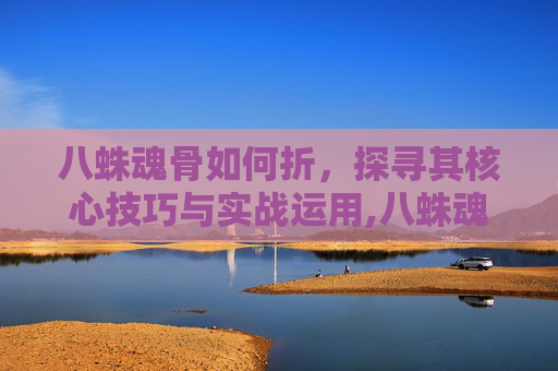 八蛛魂骨如何折，探寻其核心技巧与实战运用,八蛛魂骨多少钱一个
