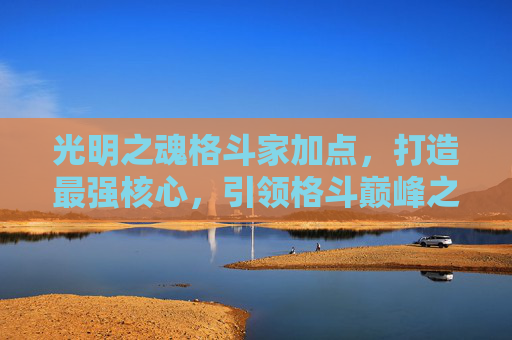 光明之魂格斗家加点，打造最强核心，引领格斗巅峰之路,光明之魂格斗家加点图