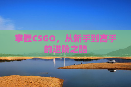 掌握CSGO，从新手到高手的进阶之路