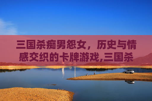 三国杀痴男怨女，历史与情感交织的卡牌游戏,三国杀痴男怨女技能介绍