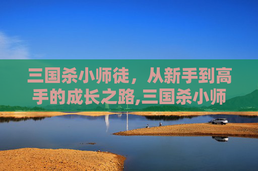 三国杀小师徒，从新手到高手的成长之路,三国杀小师徒技能介绍