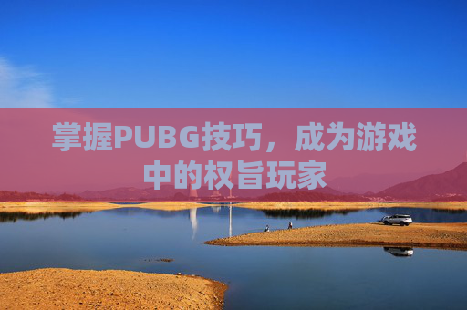 掌握PUBG技巧，成为游戏中的权旨玩家