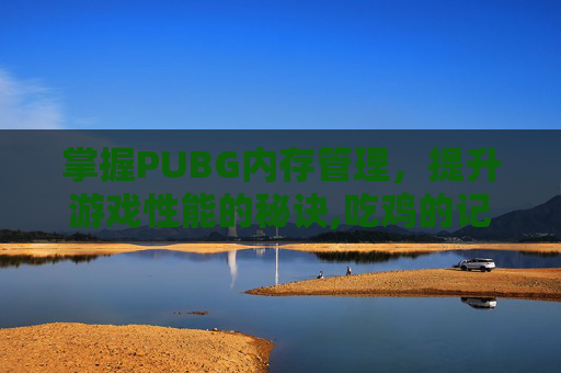 掌握PUBG内存管理，提升游戏性能的秘诀,吃鸡的记忆