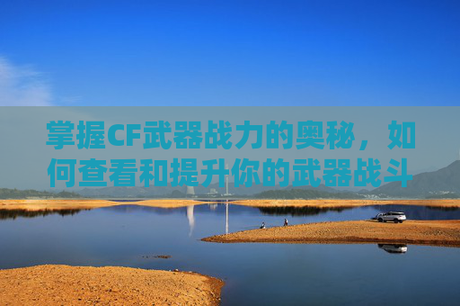 掌握CF武器战力的奥秘，如何查看和提升你的武器战斗力,cf武器战力在哪看啊