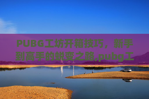 PUBG工坊开箱技巧，新手到高手的蜕变之路,pubg工厂