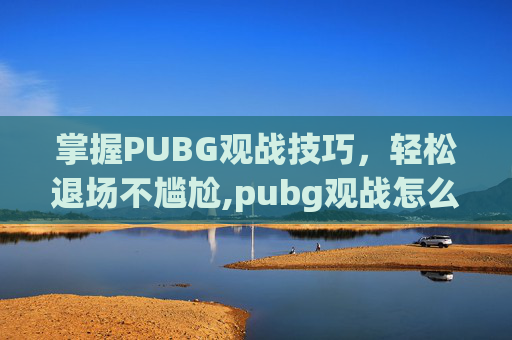 掌握PUBG观战技巧，轻松退场不尴尬,pubg观战怎么退出